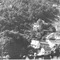Nummer 119546