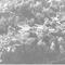 Nummer 119576