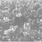 Nummer 119582