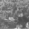 Nummer 119583