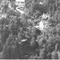 Nummer 119595
