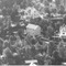 Nummer 119607
