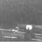 Nummer 119710