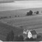 Nummer 119782