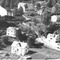Nummer 121431