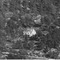 Nummer 122706