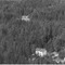 Nummer 124281
