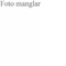 Nummer 125439
