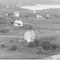 Nummer 126717