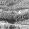 Nummer 127096