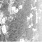 Nummer 128083