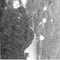 Nummer 128087
