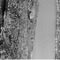 Nummer 128276