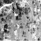 Nummer 128778