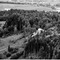 Nummer 130644