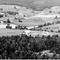 Nummer 130646