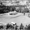 Nummer 131081
