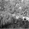 Nummer 131195