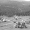 Nummer 133172