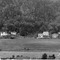 Nummer 135022