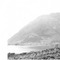 Nummer 13652