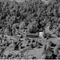 Nummer 137697