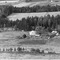 Nummer 140466