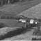 Nummer 140854