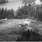 Nummer 141321