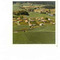 Nummer 141448