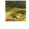 Nummer 141485