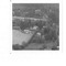 Nummer 141646