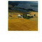 Nummer 141672