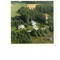 Nummer 141699