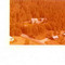 Nummer 141769
