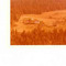 Nummer 141771