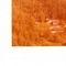 Nummer 141773