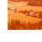 Nummer 141798