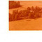 Nummer 141829