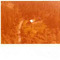 Nummer 141897