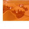 Nummer 141904