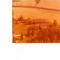 Nummer 141919
