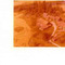 Nummer 141920