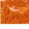Nummer 142205