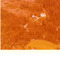 Nummer 142212
