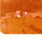 Nummer 142216