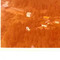 Nummer 142217