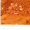 Nummer 142301