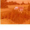 Nummer 142314