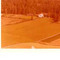 Nummer 142461